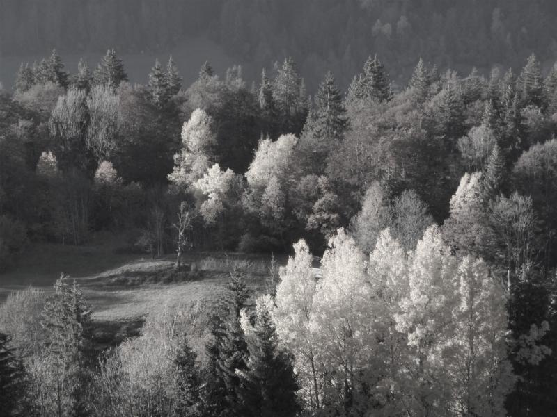 Galerie photos appartements des cimes crest voland