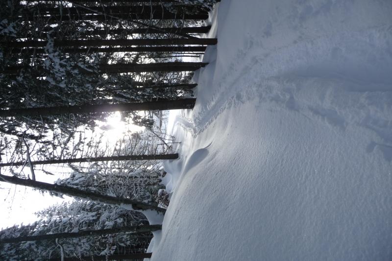 Galerie photos appartements des cimes crest voland